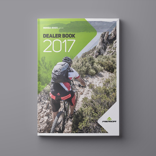 Dealer book 2017